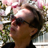 Muziekgeschiedenis klassiek