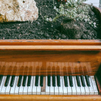 Begeleidingspraktijk